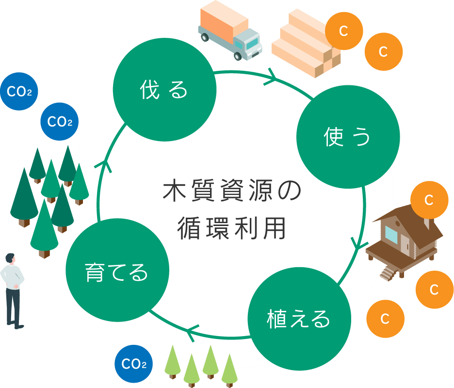 木質資源の循環利用